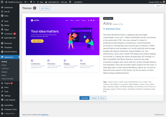 WordPress SEO Settings: The Ultimate Beginner’s Guide 4 Astra theme customization screen in WordPress SEO settings for website optimization